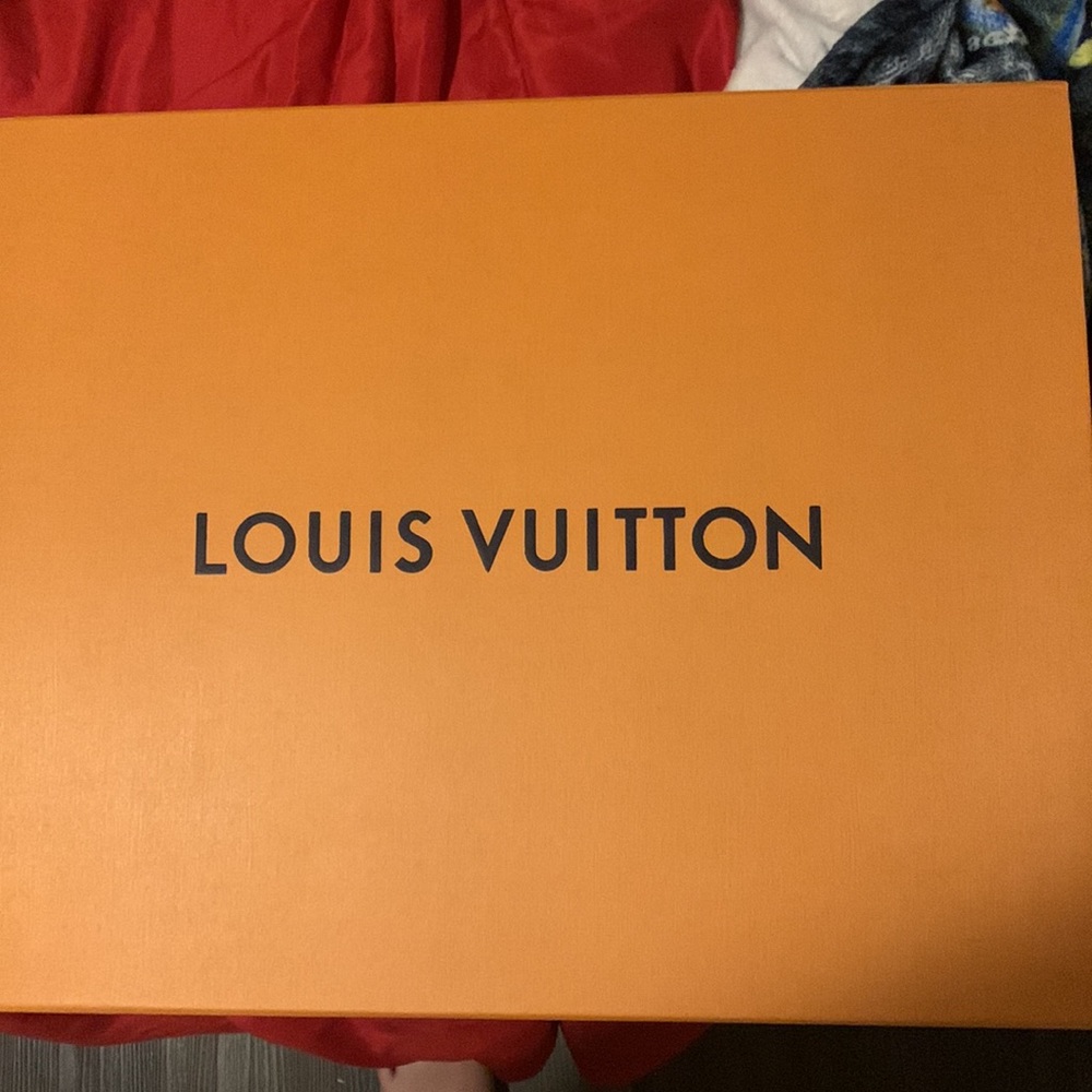 Brown and tan Louis Vuitton bag. Never used. In dust bag, box and shopping bag. - Picture 4 of 4